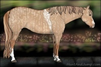 Horse Color:Red Dun Tobiano  and Red Dun Splash Tobiano 