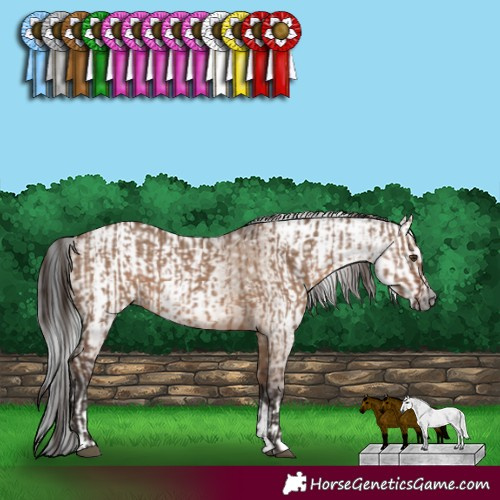 Horse Color:Liver Red Dun  and Gray Liver Red Dun 
