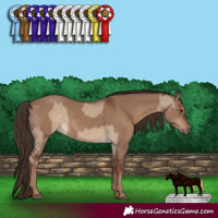 Horse Color:Liver Red Dun  and Liver Red Dun 