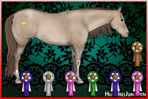 Horse Color:Grullo Pearl Tobiano 