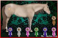 Horse Color:Grullo Pearl Tobiano 