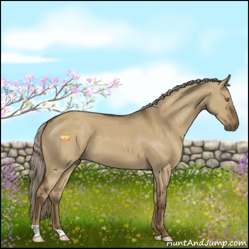 Horse Color:Chocolate Palomino Dun 
