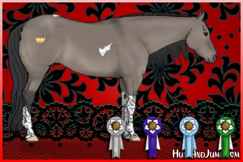 Horse Color:Grullo Tobiano