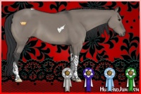 Horse Color:Grullo Tobiano 