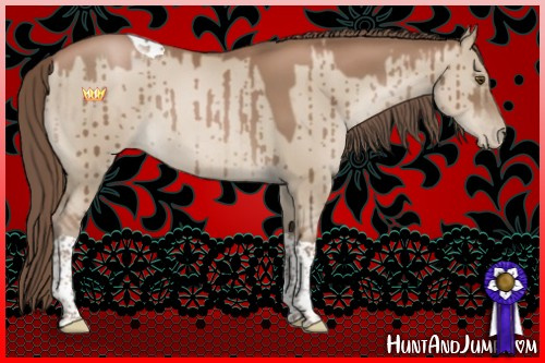 Horse Color:Grullo Pearl Tobiano Rabicano Brindle 