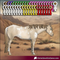 Horse Color:White Spotted Smoky Grullo Pearl Rabicano