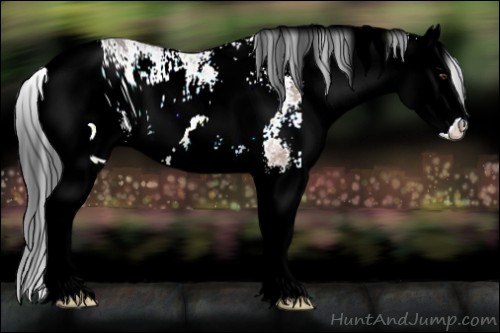 Horse Color:ERROR: UNKNOWN ANOMALY