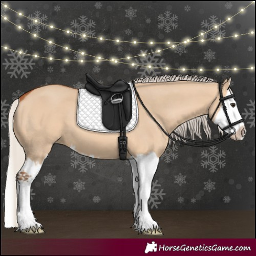 Horse Color:Silver Bay Dun Splash 