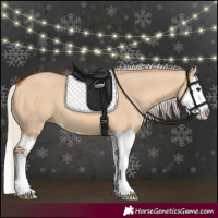 Horse Color:Silver Bay Dun Splash 