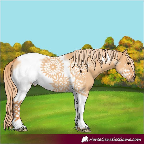 Horse Color:Red Dun Tobiano Frame 
