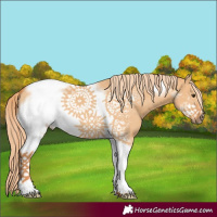 Horse Color:Red Dun Tobiano Frame