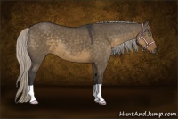 Horse Color:Silver Smoky Grullo 
