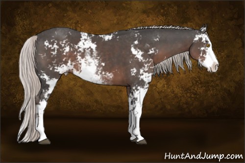Horse Color:Silver Black Sabino 