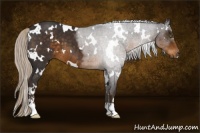 Horse Color:White Spotted Silver Smoky Black Sabino 