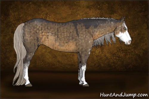 Horse Color:Silver Smoky Grullo Sabino Brindle