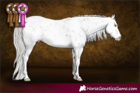 Horse Color:Silver Grullo Sabino 
