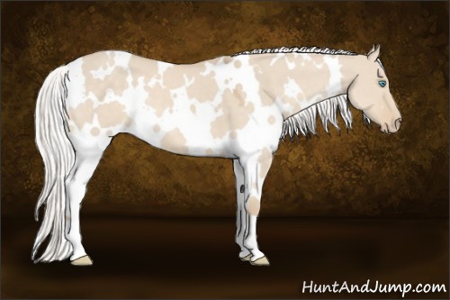 Horse Color:White Spotted Silver Smoky Creme Dun 