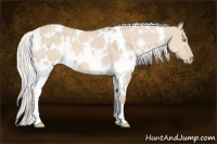 Horse Color:White Spotted Silver Smoky Creme Dun 
