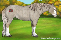 Horse Color:Chocolate Palomino Roan Dun Splash