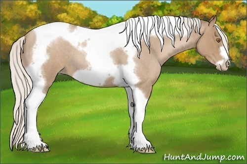 Horse Color:Silver Blue Roan Pearl Tobiano Frame