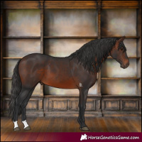 Horse Color:Brown 