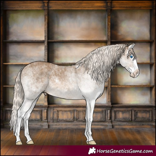 Horse Color:White Spotted Chocolate Palomino Splash 