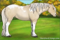 Horse Color:Silver Blue Roan Pearl Tobiano Frame 