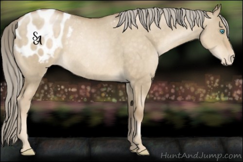Horse Color:Chocolate Palomino Pearl Dun Appaloosa Rabicano 