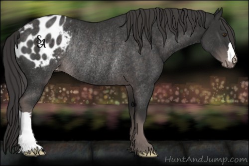 Horse Color:Platinum Liver Chestnut Appaloosa Rabicano 