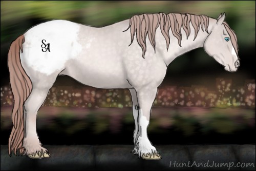 Horse Color:Platinum Buckskin Pearl Snowcap 
