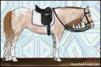 Horse Color:Bay Ice Pearl Tobiano