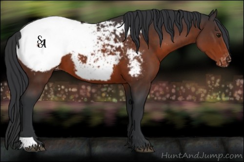 Horse Color:Brown Snowcap 
