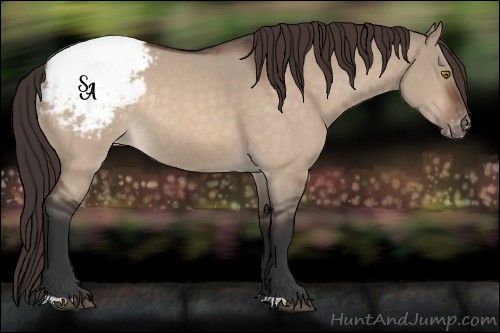 Horse Color:Brown Roan Dun Appaloosa Rabicano 