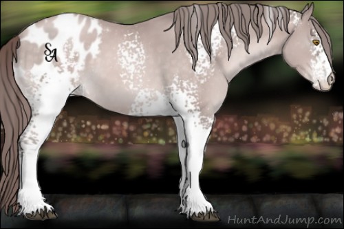 Horse Color:Platinum White Spotted Bay Pearl Appaloosa