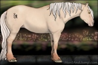 Horse Color:Void Silver Classic Champagne Dun 