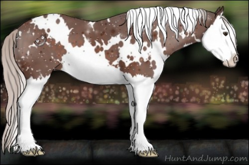 Horse Color:White Spotted Silver Brown Splash