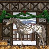 Horse Color:White Spotted Chocolate Palomino Mushroom Sabino Appaloosa 
