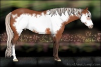 Horse Color:Silver Bay Frame 