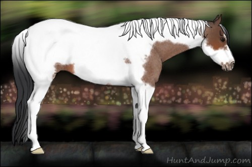 Horse Color:Bay Roan Tobiano Frame 