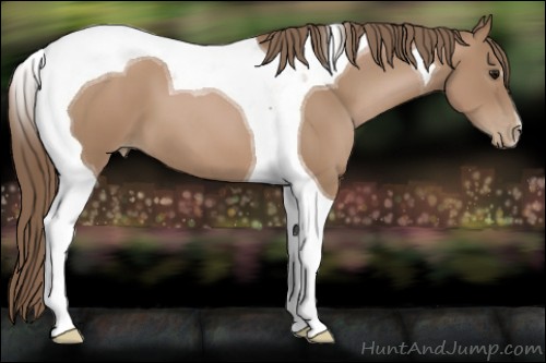 Horse Color:Black Pearl Tobiano