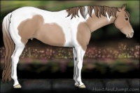 Horse Color:Black Pearl Tobiano 