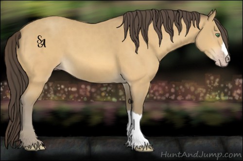 Horse Color:Amber Cream Champagne