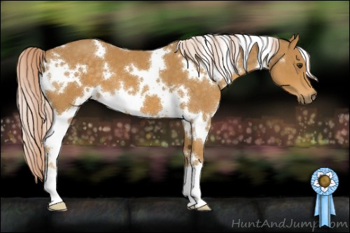Horse Color:White Spotted Palomino
