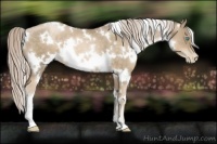 Horse Color:White Spotted Chocolate Palomino Pearl 
