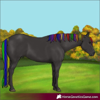 Horse Color:Painted Smoky Black