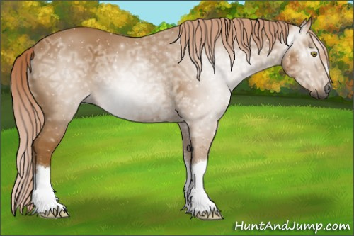 Horse Color:Gray Palomino Ice 