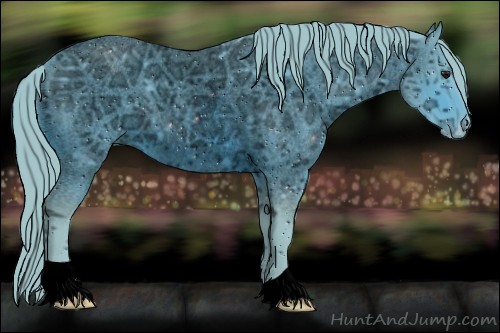 Horse Color:ERROR: UNKNOWN ANOMALY