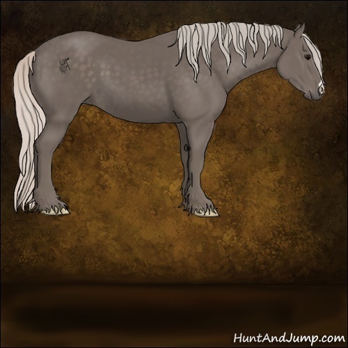 Horse Color:Silver Black 