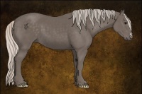 Horse Color:Silver Black 
