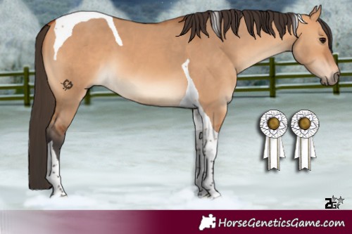 Horse Color:Bay Dun Tobiano 